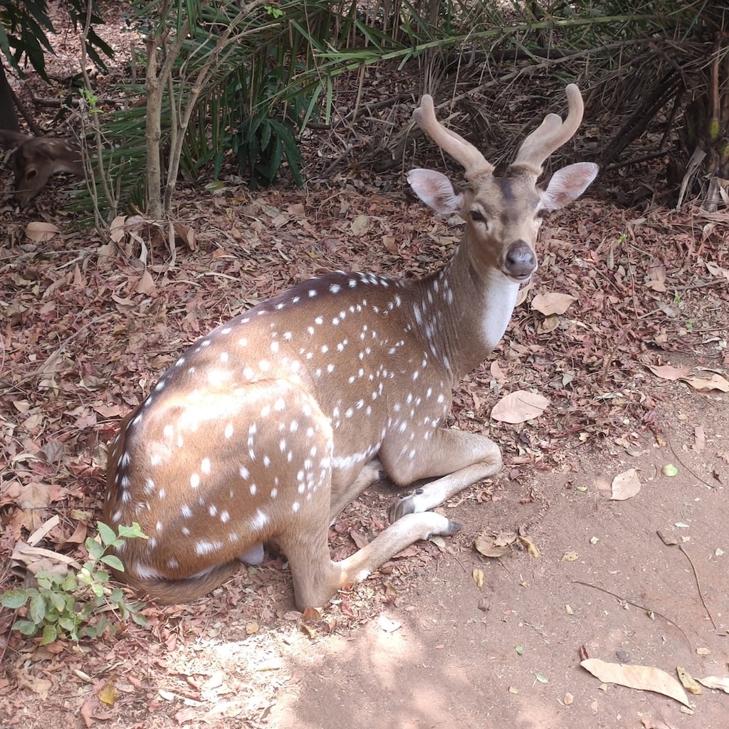 Near IIITD gate